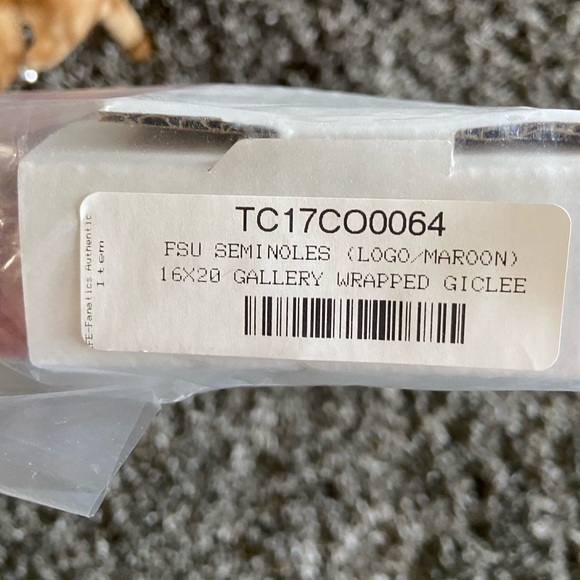 FSU Seminoles Logo Painting - Picture 3 of 4